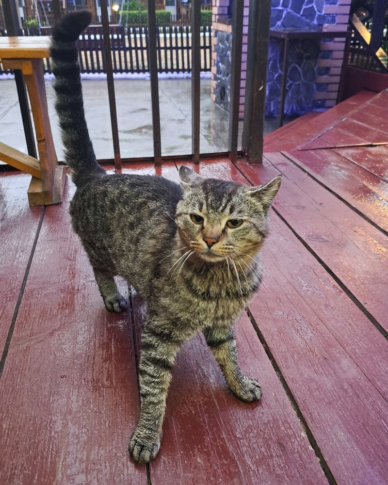 Photograph by Оксана Юдина