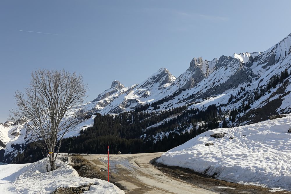 Фотография автора Michel PACHOT