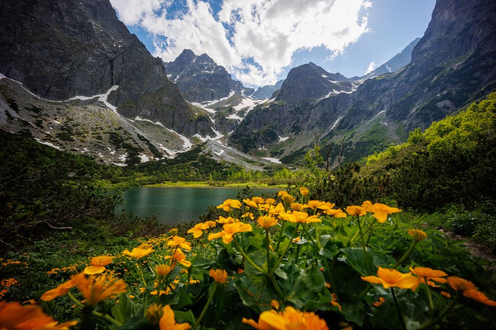 Photograph by Radovan Dziak