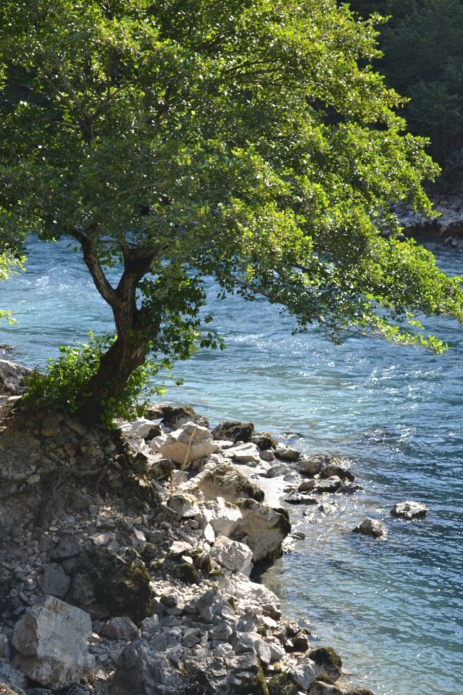 Photograph by Олеся Федорова