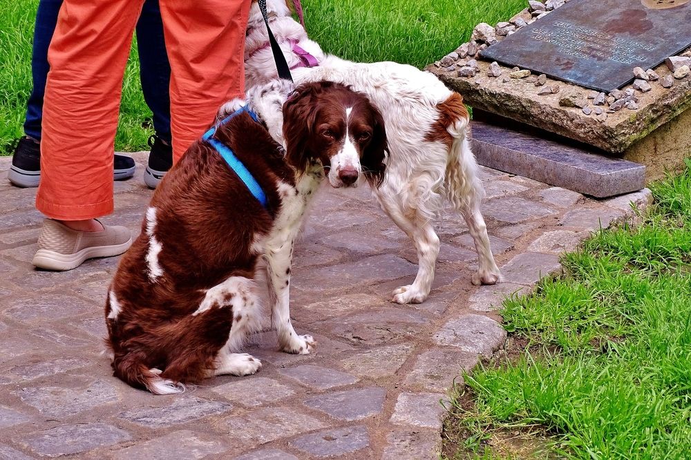 Photograph by backareva irina