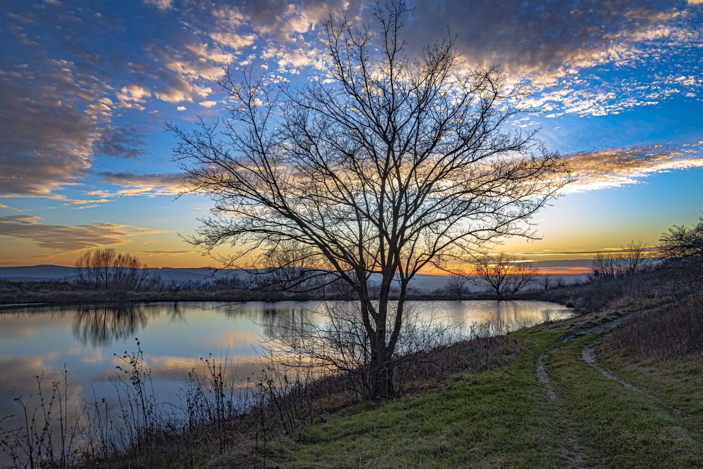 Photograph by Алексей Мякота