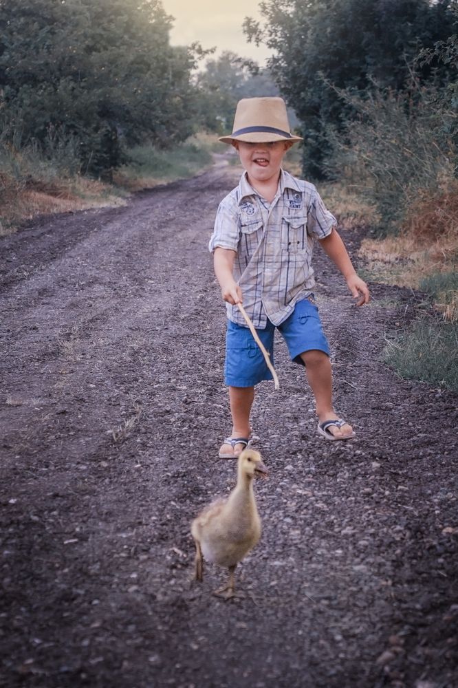 Догнать гусенка.