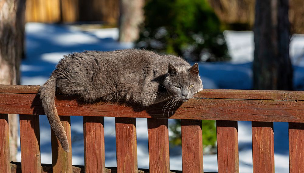 Photograph by yuri kutukov