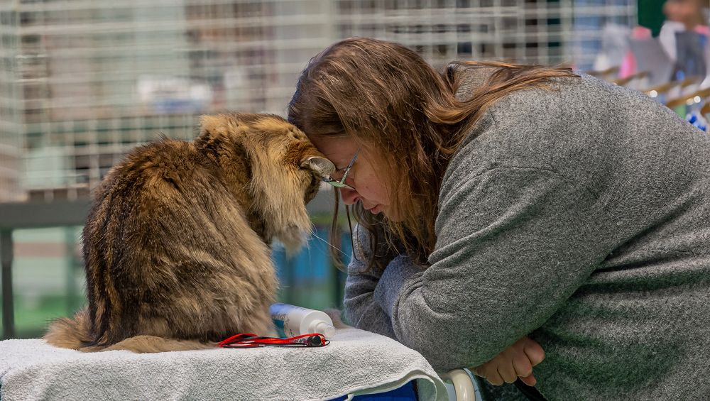 Photograph by yuri kutukov