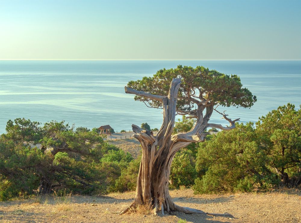 Фотография автора Вадим Козыренко