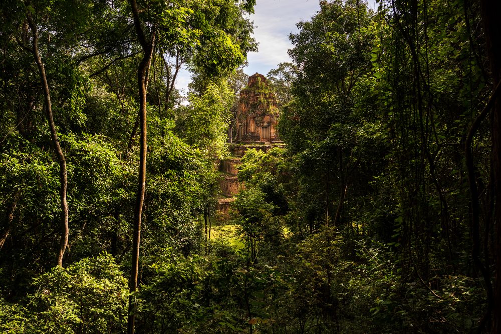 Photograph by Bruno Ribeiro