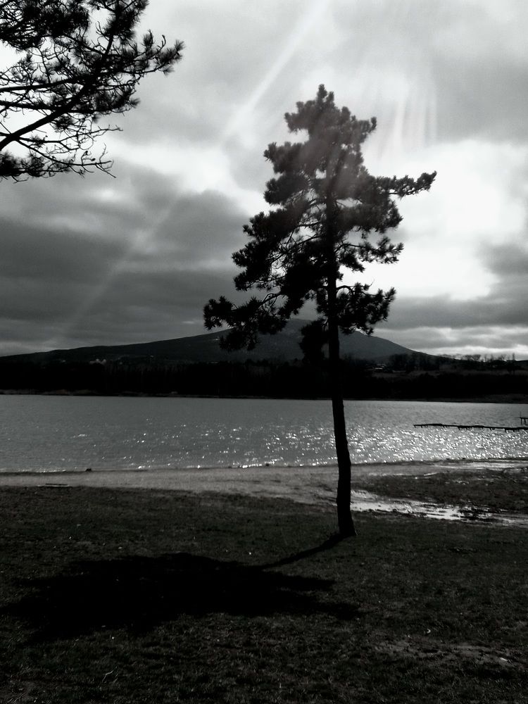 Photograph by Наталья Покрепина