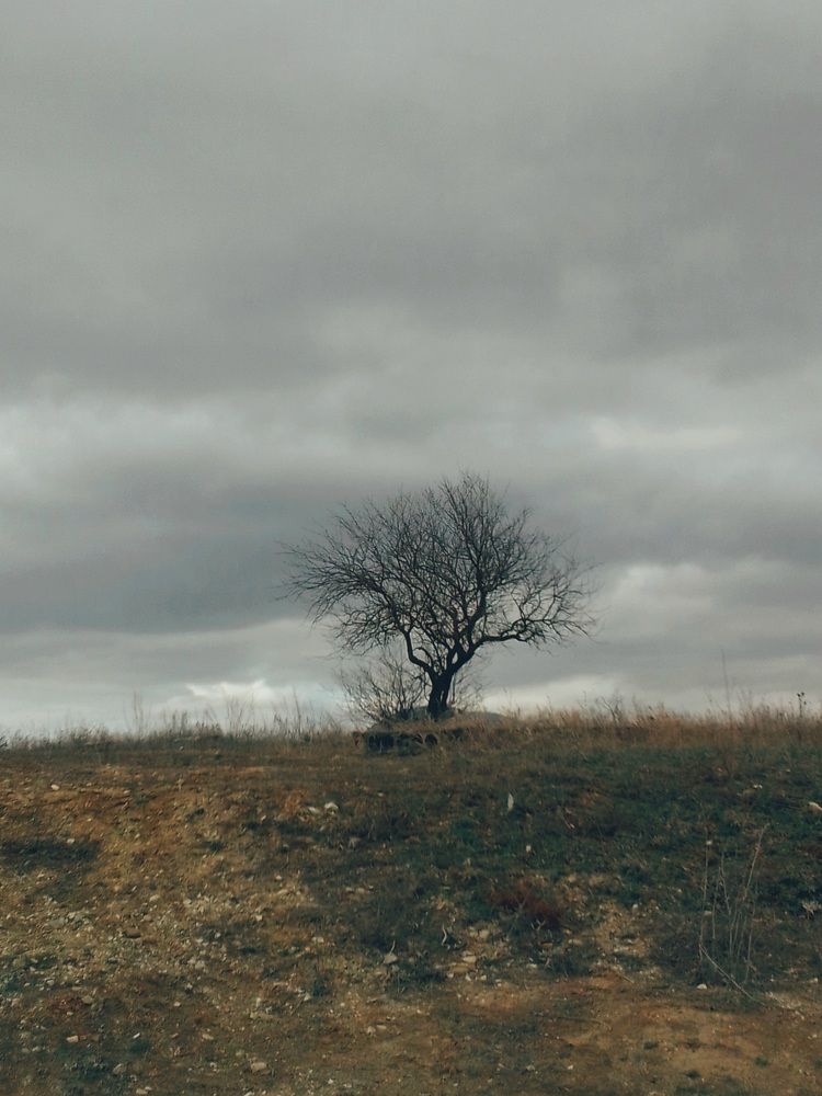 Photograph by Наталья Покрепина