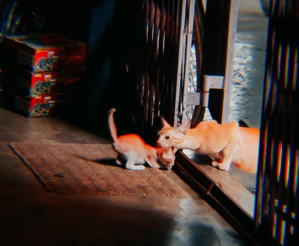 Фотография автора Debdutt Saha