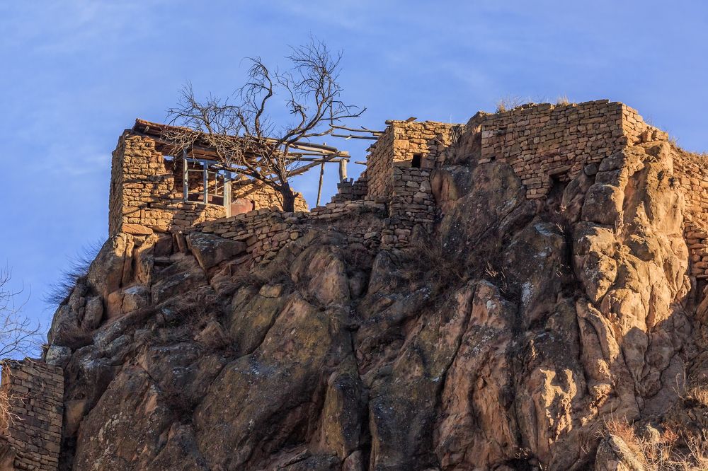 Фотография автора Галина Шепелева