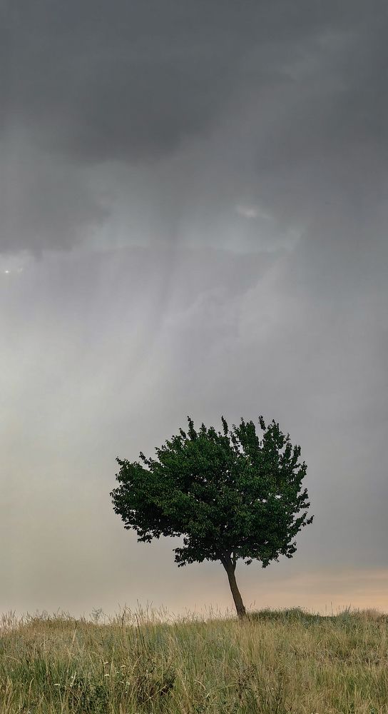 Photograph by Кристина Дугина