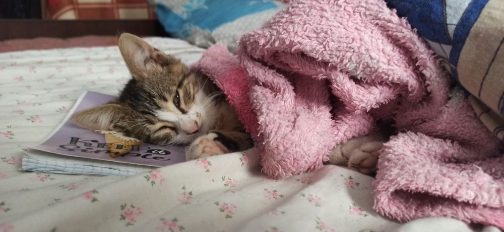 Photograph by Виорика Фоменко