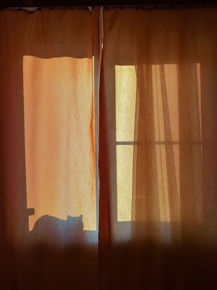 Фотография автора Ketov Vladimir