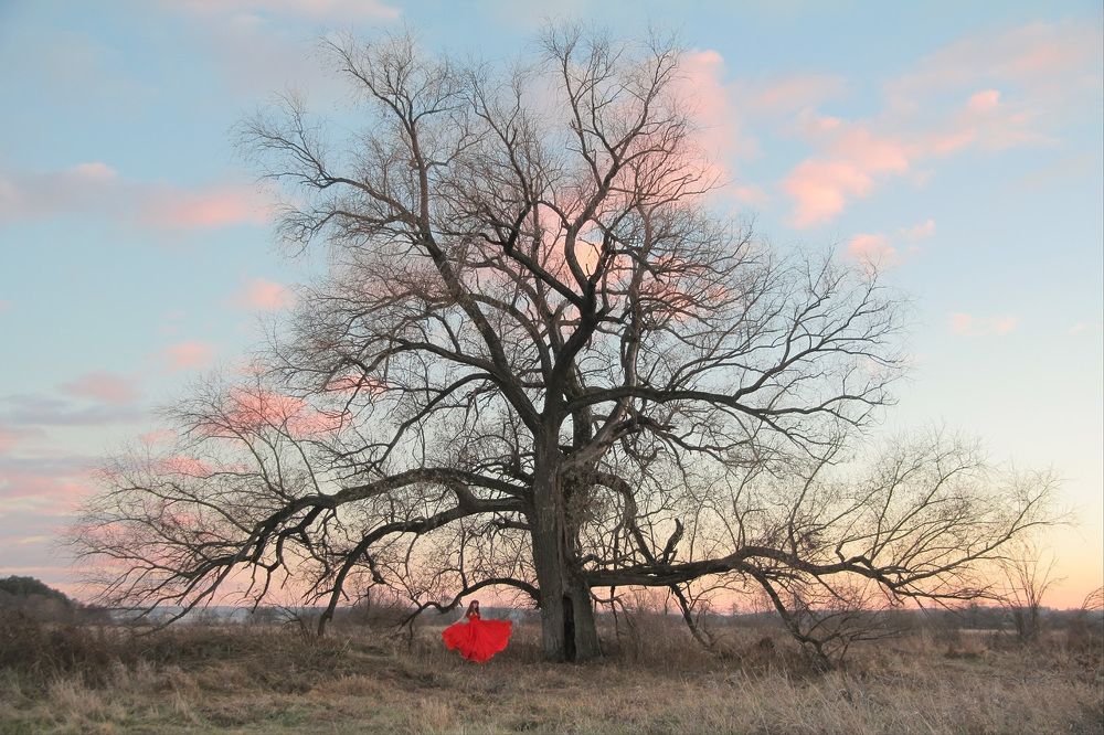 Photograph by Екатерина Родина