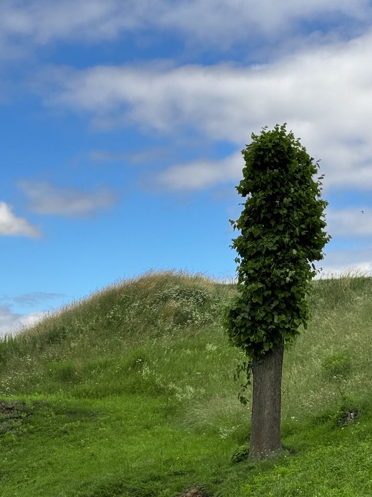 Photograph by Liudmila