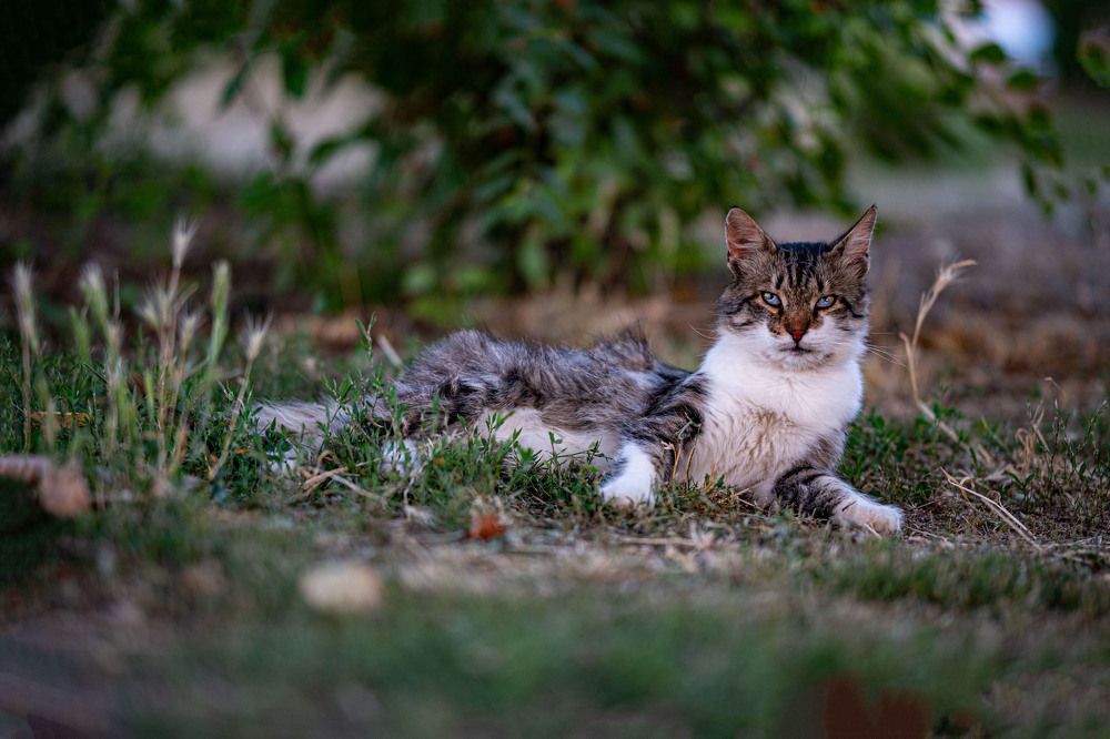 Photograph by Роман Крупченко