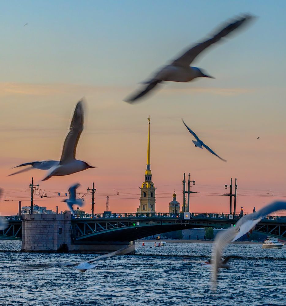 Photograph by Попов Виктор