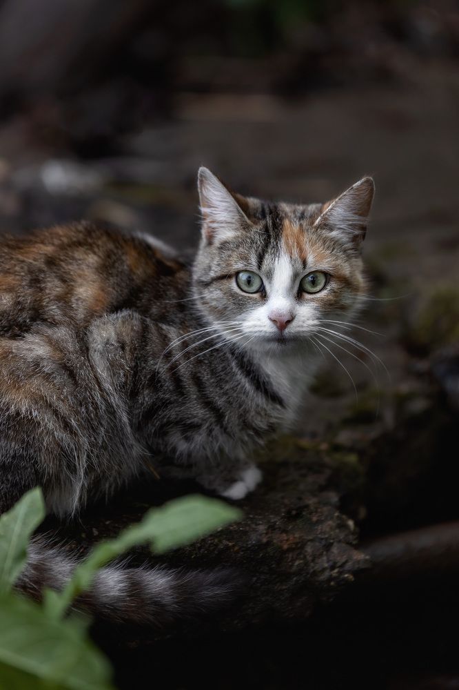 Photograph by Юлия Микульская