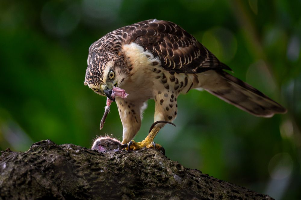 Photograph by Lucas Oh