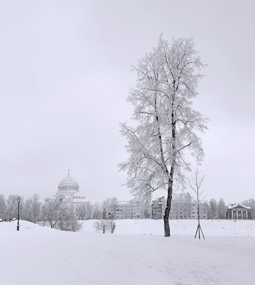 Photograph by Сергей Григорьев