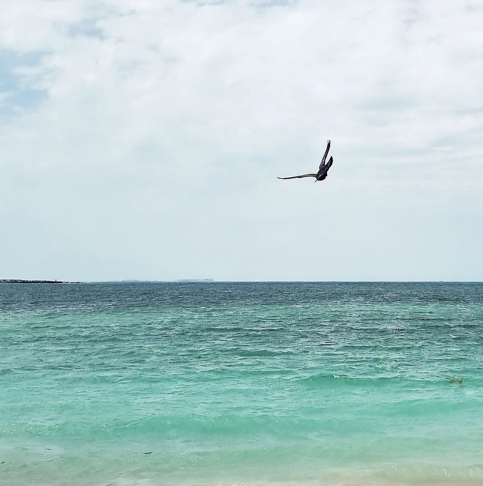 Photograph by Асад Ибадов