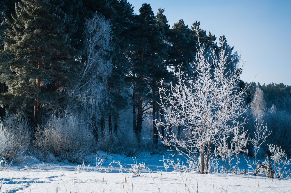 Photograph by Николай Захаров