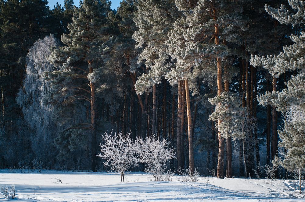 Photograph by Николай Захаров