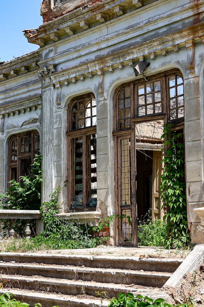 Photograph by Grădinaru Catalin