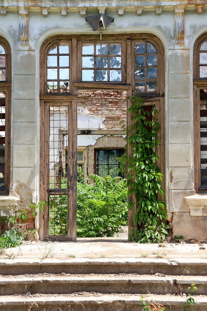 Photograph by Grădinaru Catalin