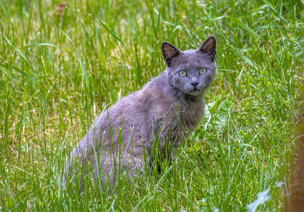 Photograph by Сиваков Алексей