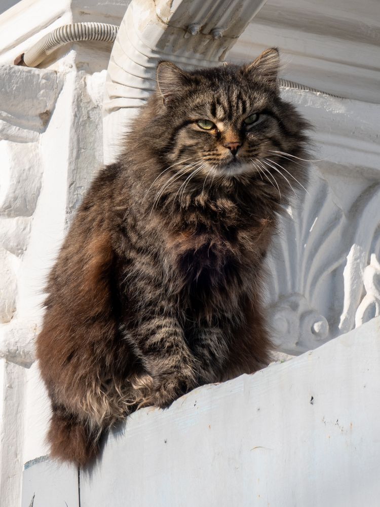 Photograph by Виталий Маслов