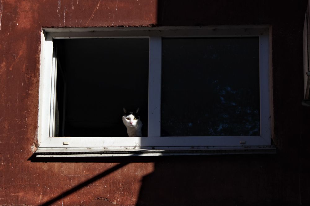 Photograph by Переверзева Татьяна