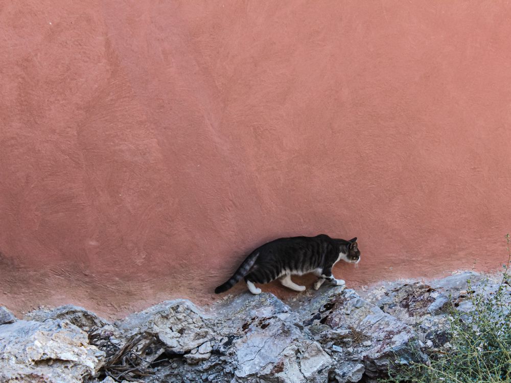 Photograph by Переверзева Татьяна