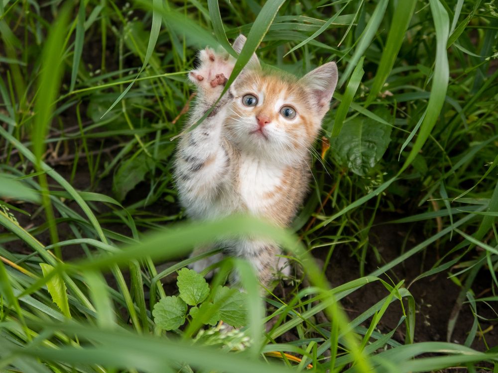 Photograph by Виталий Маслов