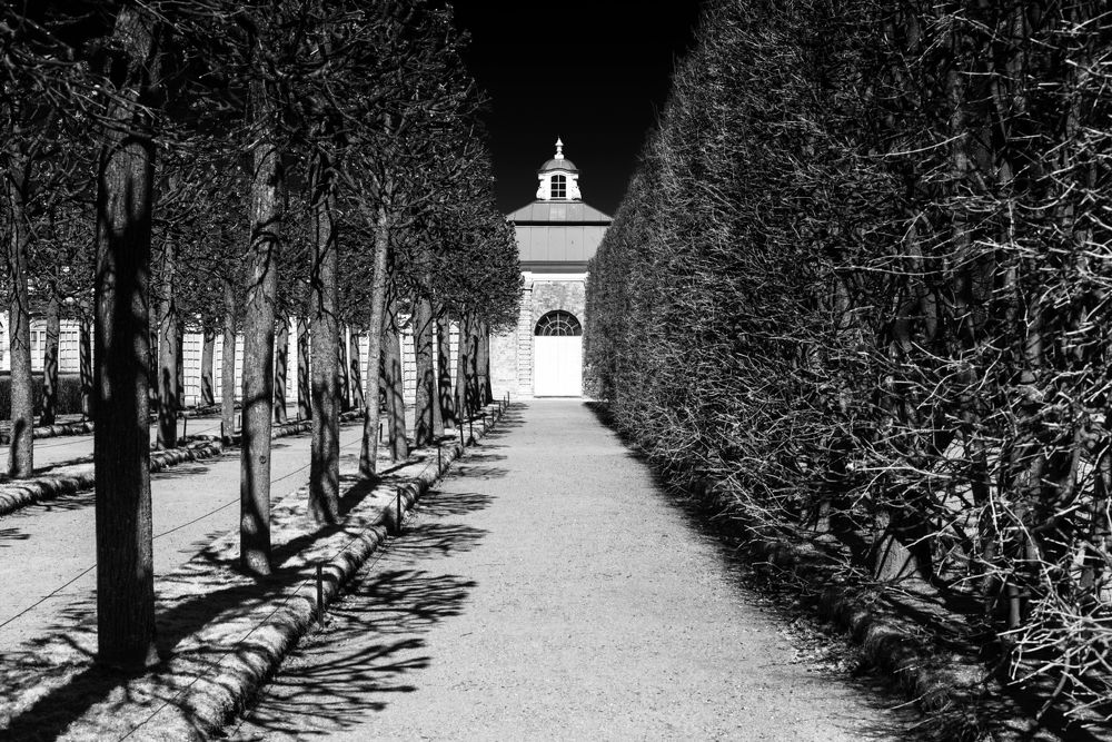 Графика весеннего Петергофа