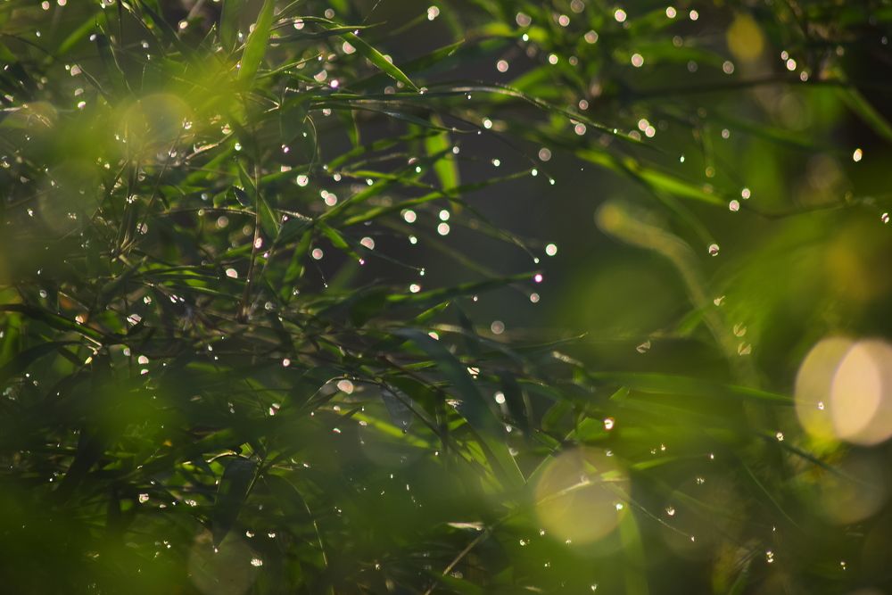 Photograph by Viduri Vilasi Bandadra