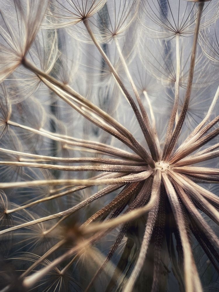 Photograph by Диана