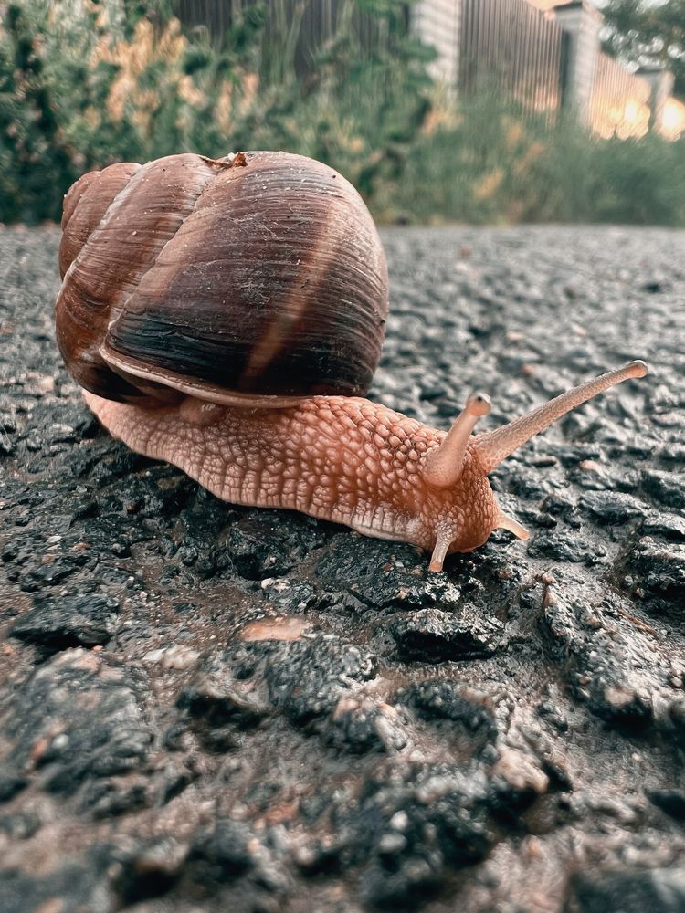 Photograph by Диана