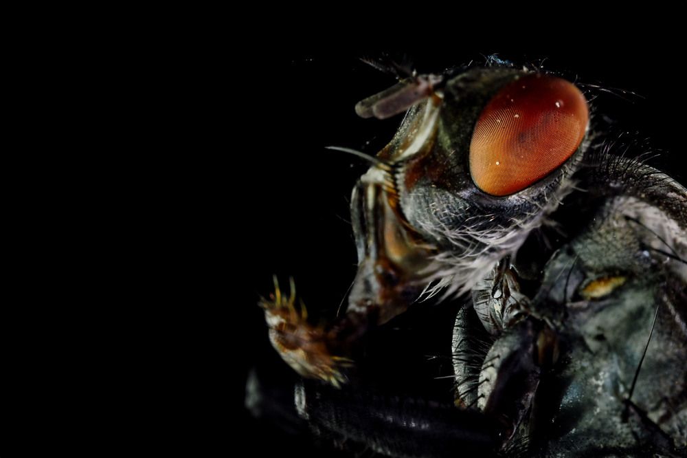 Photograph by Serdar AVCI