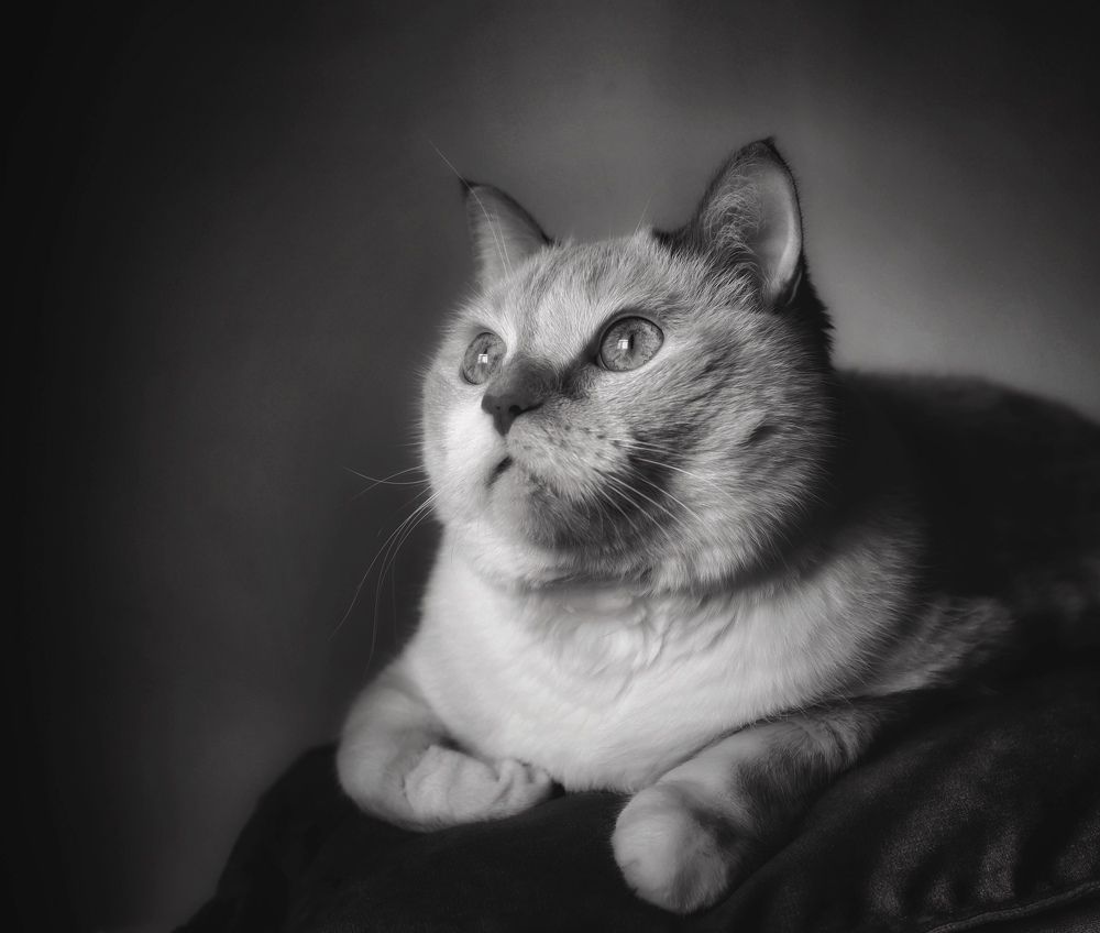 Photograph by Кира Бахвалова