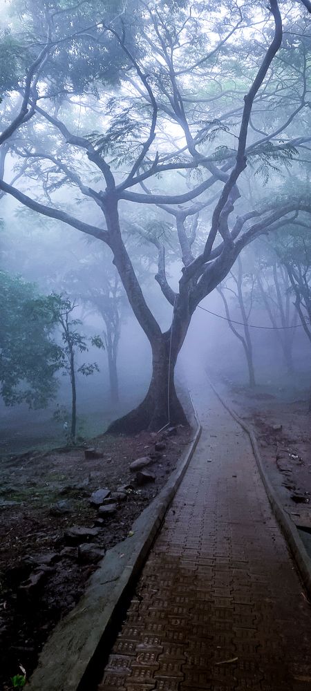 Photograph by RAVI S