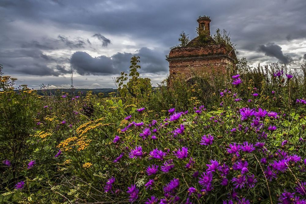 Photograph by Дмитрий Сундеев