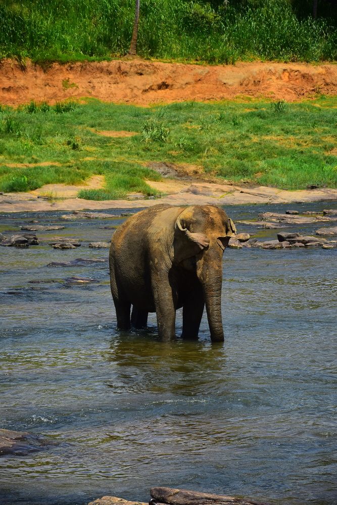 Photograph by Viduri Vilasi Bandadra