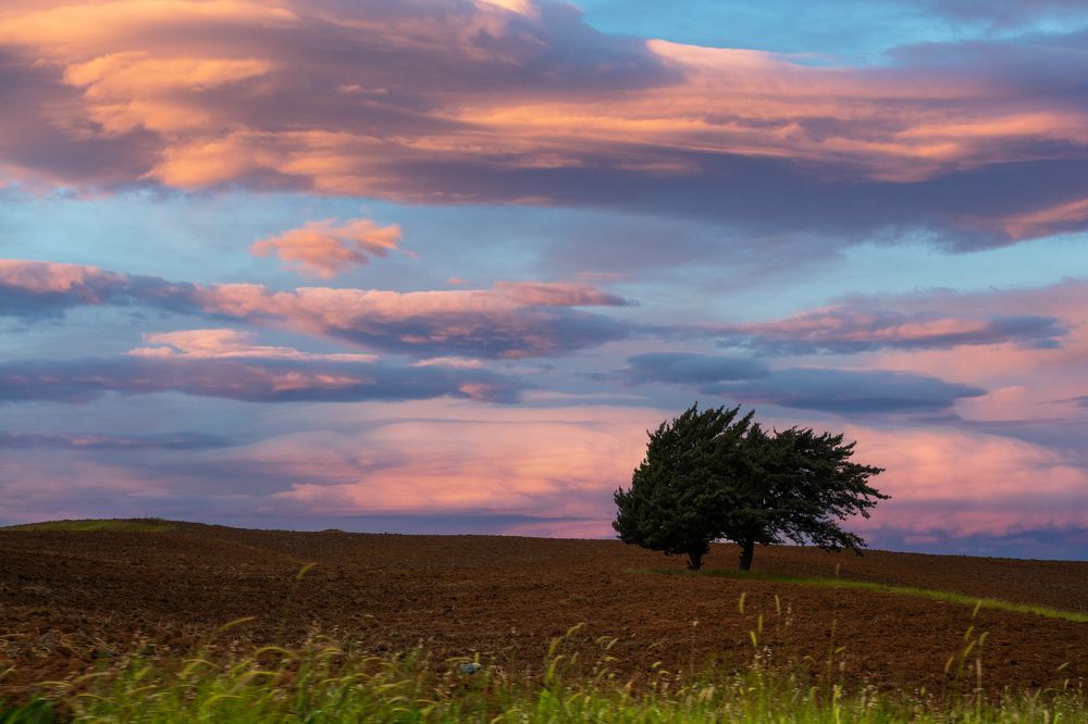 Photograph by Mohammed Alhusseini