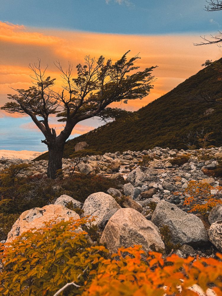 Photograph by Marina Zvada