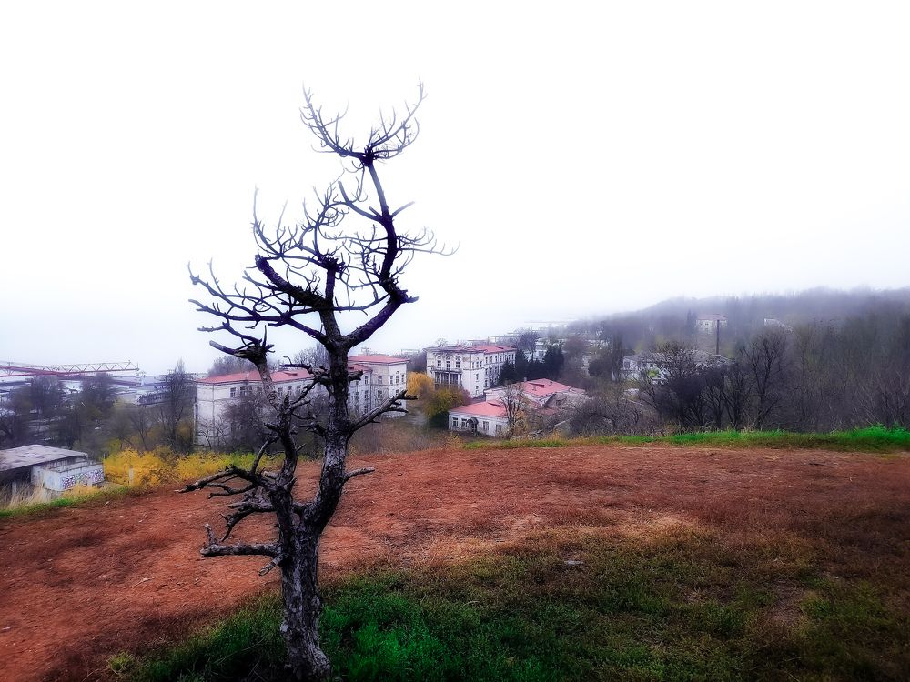 Photograph by Светлана Смирнова