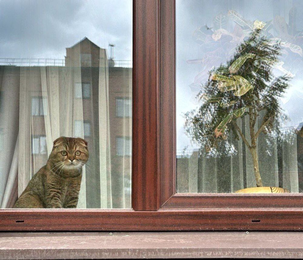 Photograph by Екатерина Козлова