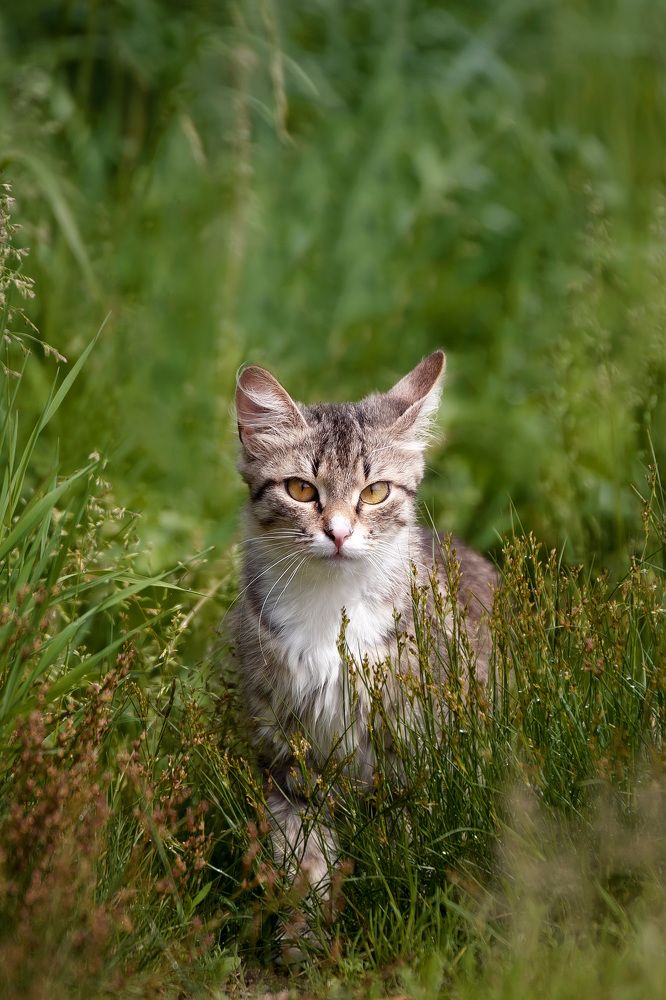 Photograph by Юлия Микульская