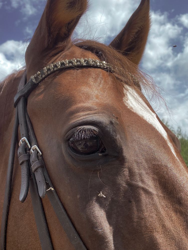 Фотография автора Лариса Гришкевич